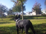 エル公園1