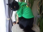 クマっぴパーカー